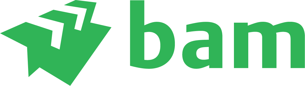 Royal BAM Group Logo